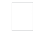 Business report 